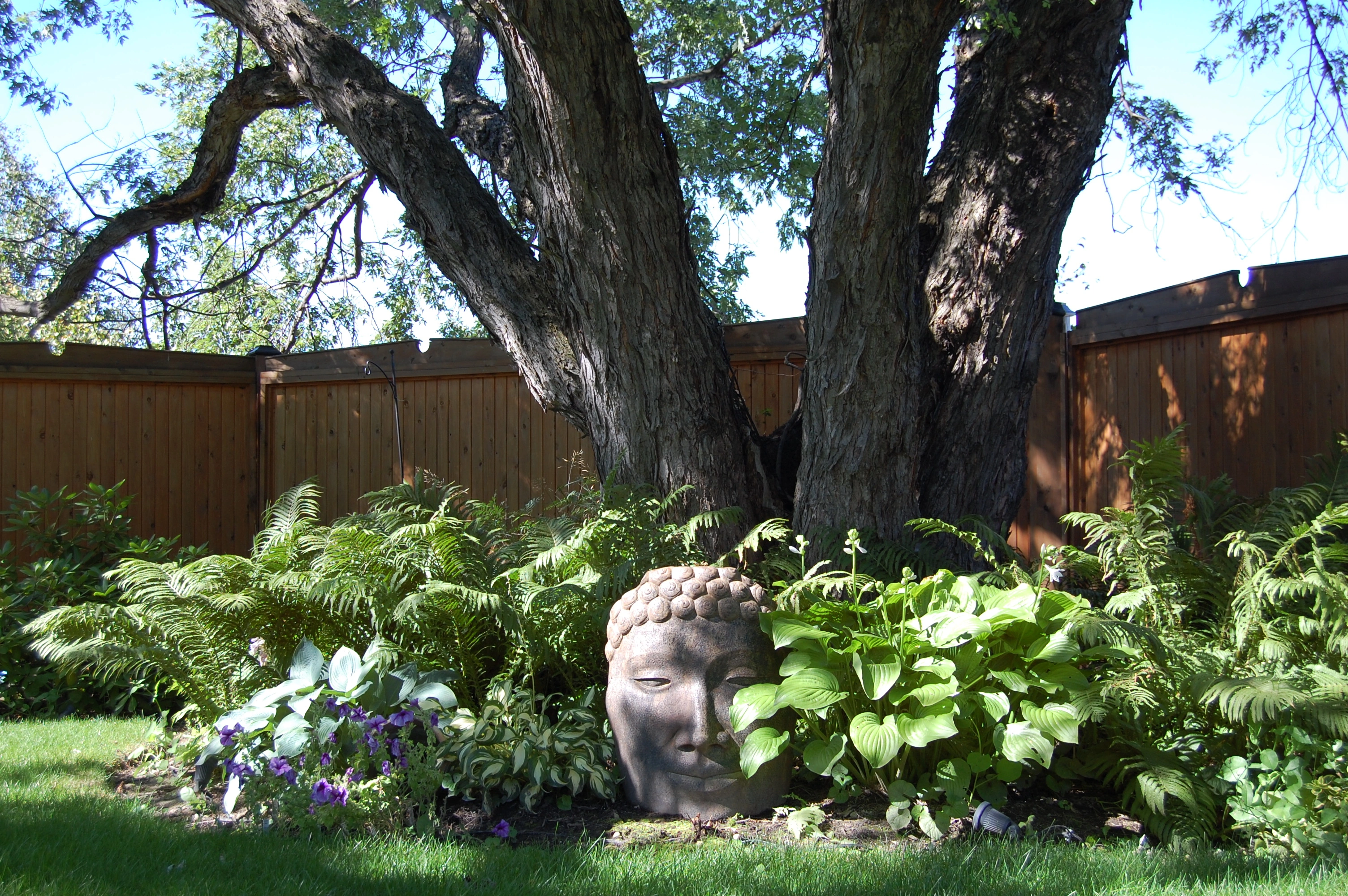Well maintained lawn and landscaping at residential property.