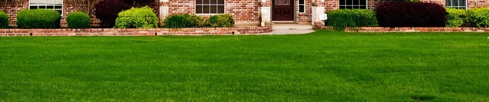 Dark green yard from fertilizing in Sudbury, ON.