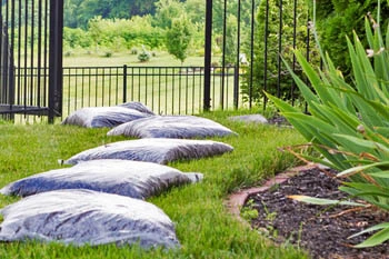 Residential lawn in Sudbury with proper fertilization.
